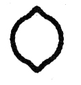 Disegno 503.50130L